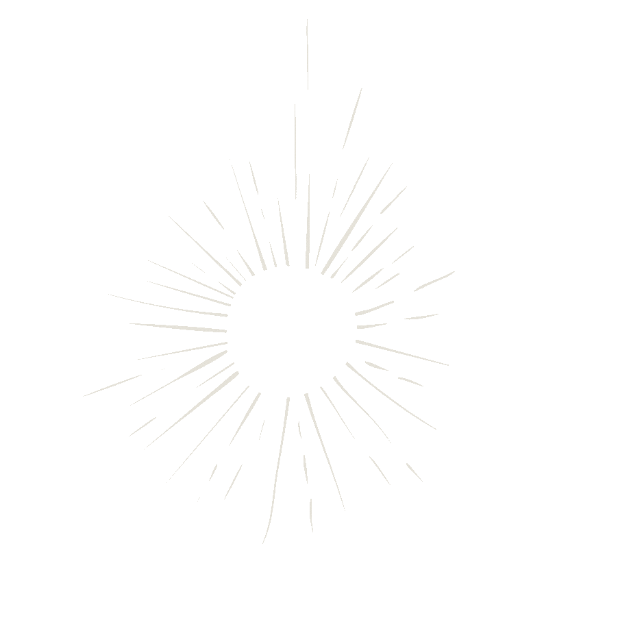 StarLogo_grey